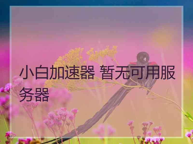 小白加速器 暂无可用服务器