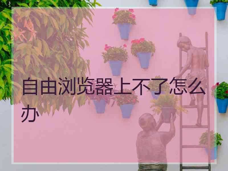 自由浏览器上不了怎么办