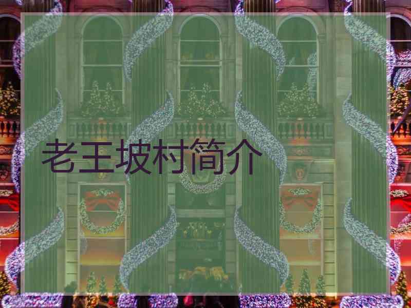 老王坡村简介