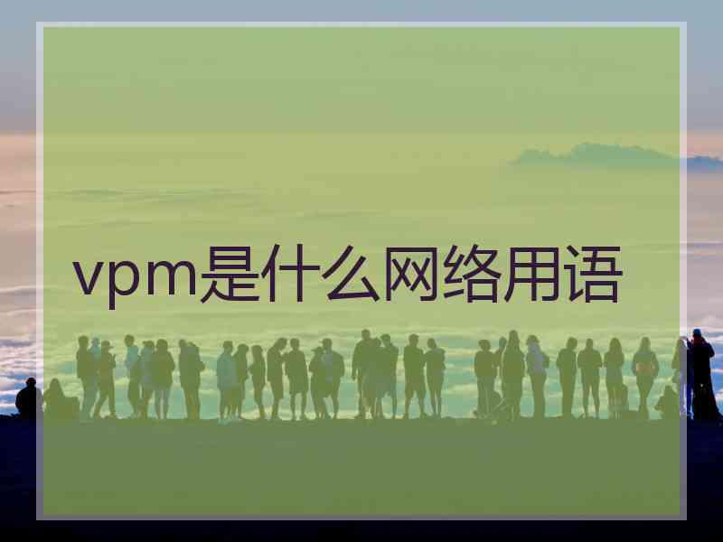 vpm是什么网络用语