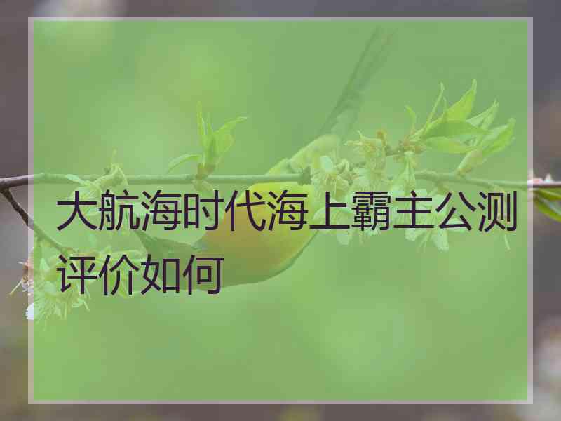 大航海时代海上霸主公测评价如何