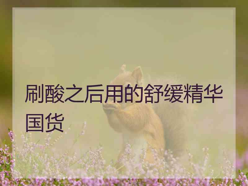 刷酸之后用的舒缓精华国货
