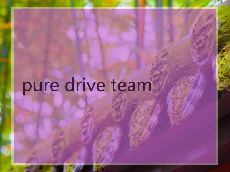 pure drive team