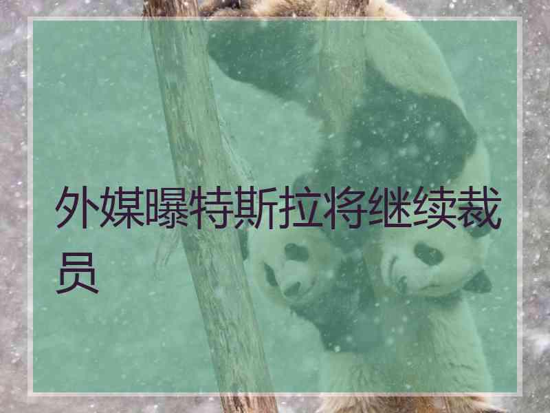 外媒曝特斯拉将继续裁员