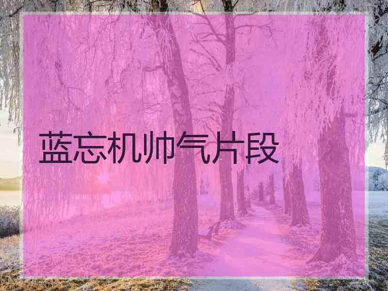 蓝忘机帅气片段