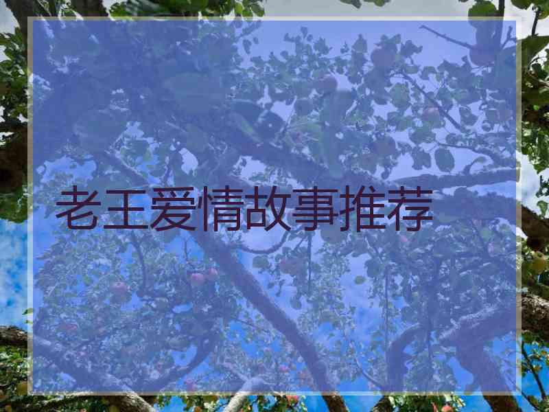 老王爱情故事推荐