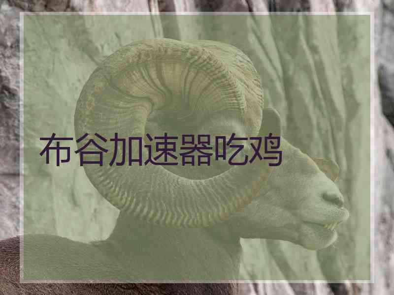 布谷加速器吃鸡