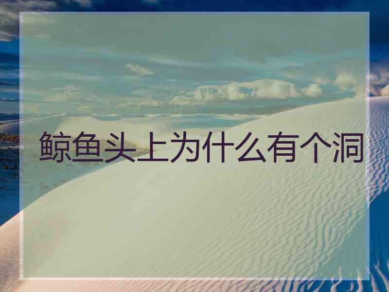 鲸鱼头上为什么有个洞
