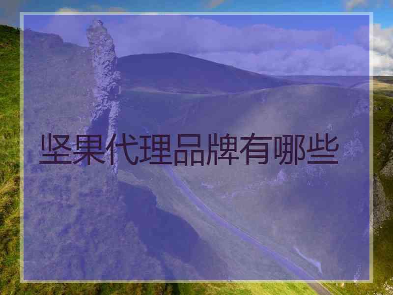 坚果代理品牌有哪些