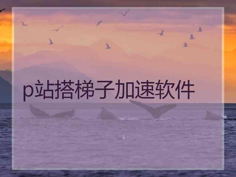 p站搭梯子加速软件