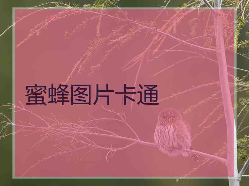 蜜蜂图片卡通