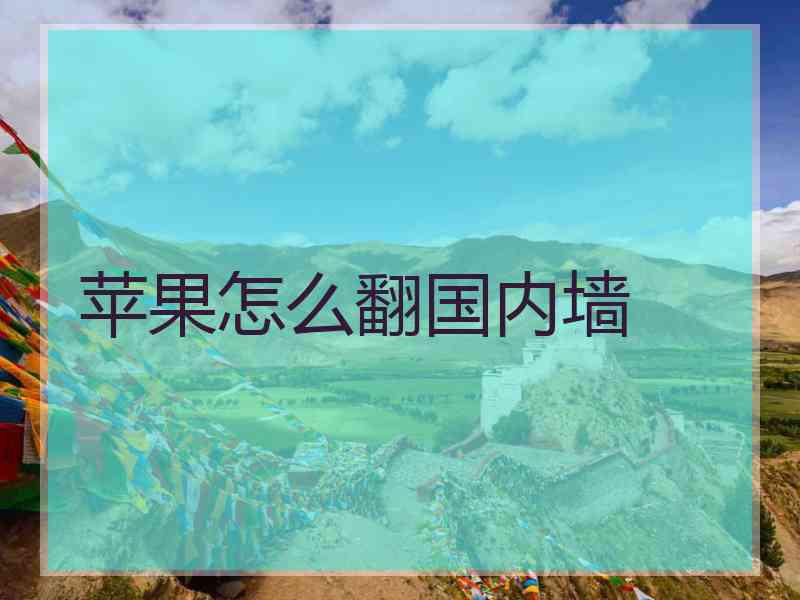 苹果怎么翻国内墙