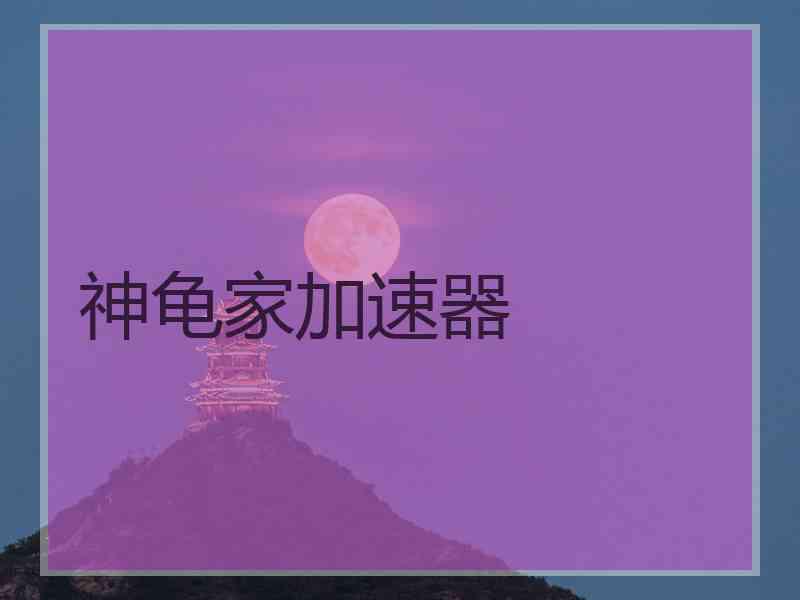 神龟家加速器