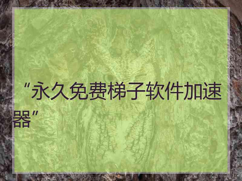 “永久免费梯子软件加速器”