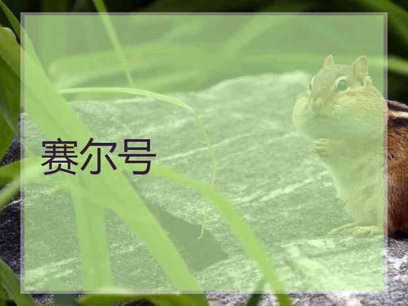赛尔号