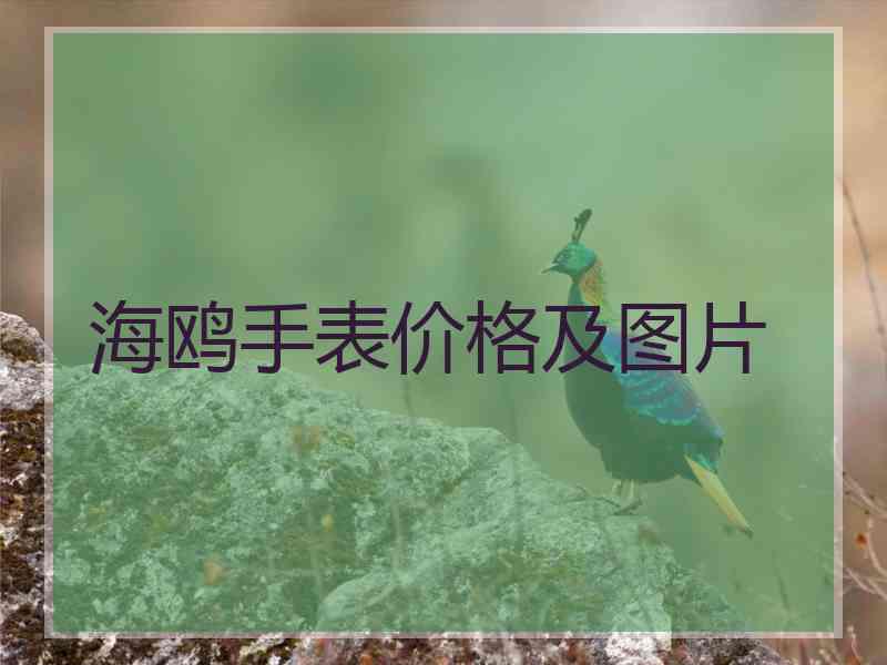 海鸥手表价格及图片