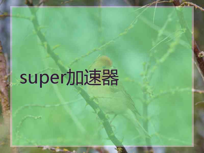 super加速器