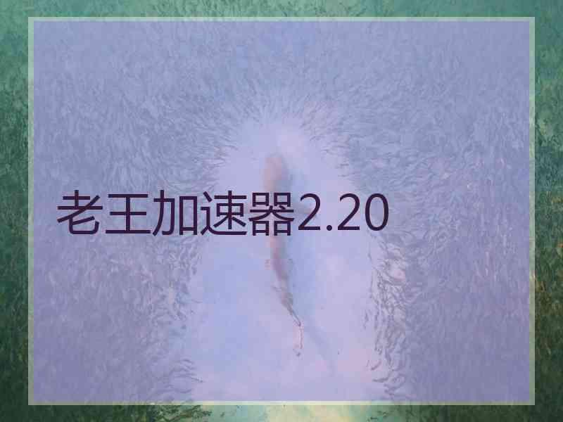 老王加速器2.20