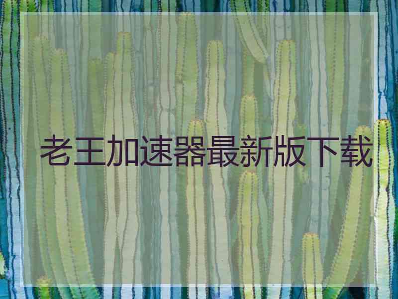 老王加速器最新版下载
