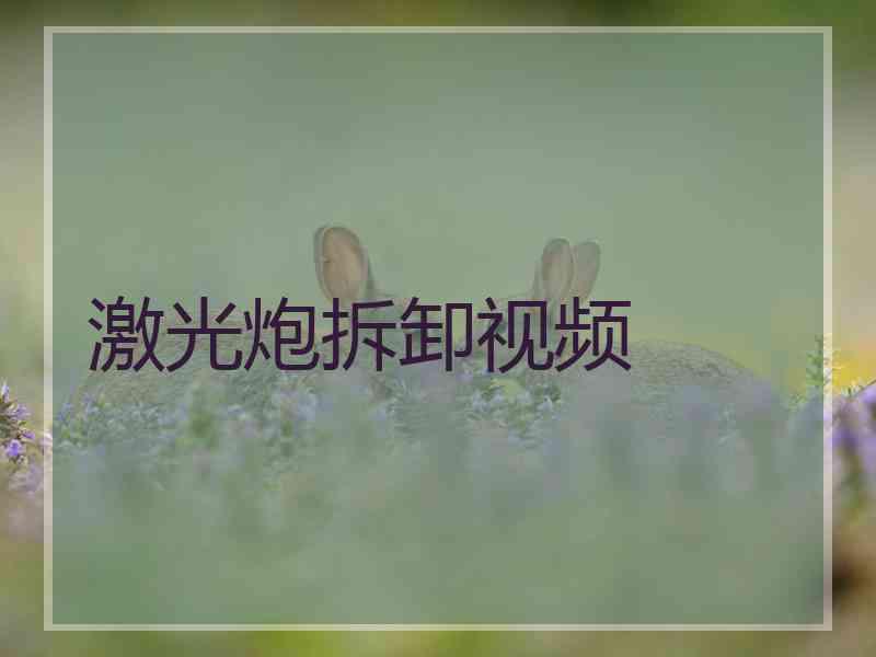 激光炮拆卸视频