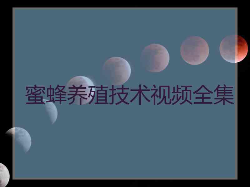 蜜蜂养殖技术视频全集