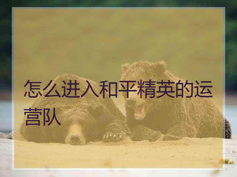 怎么进入和平精英的运营队