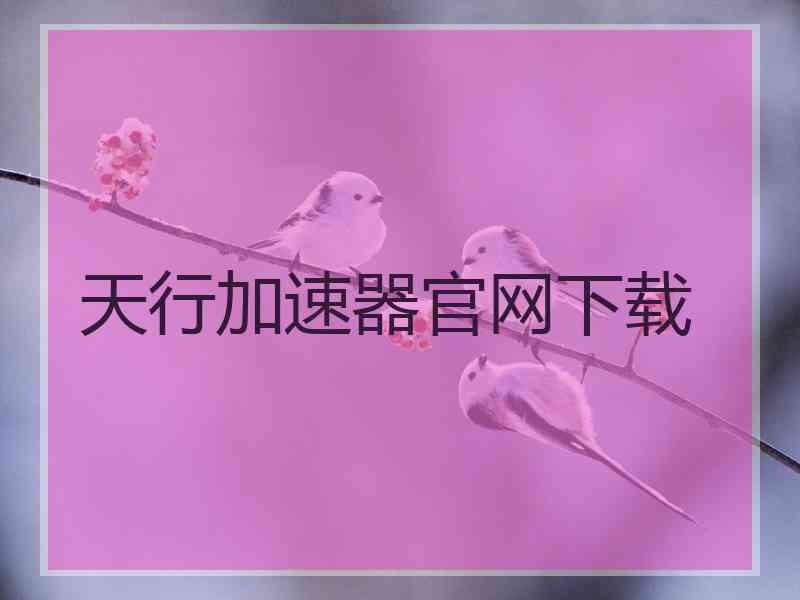 天行加速器官网下载