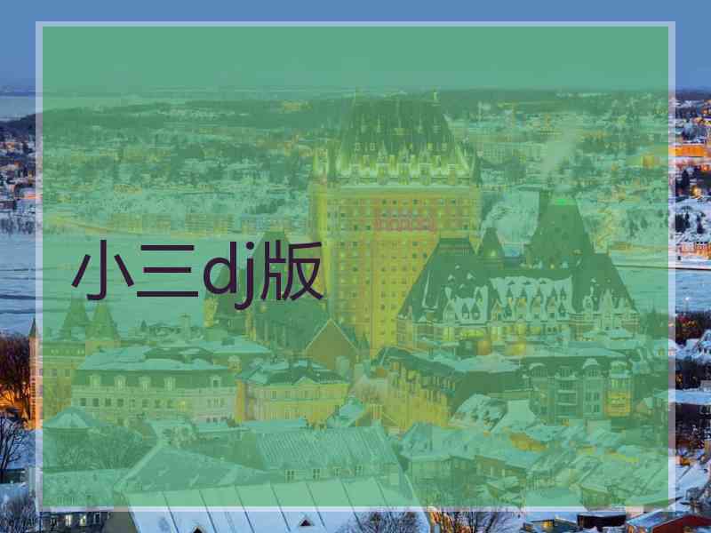 小三dj版