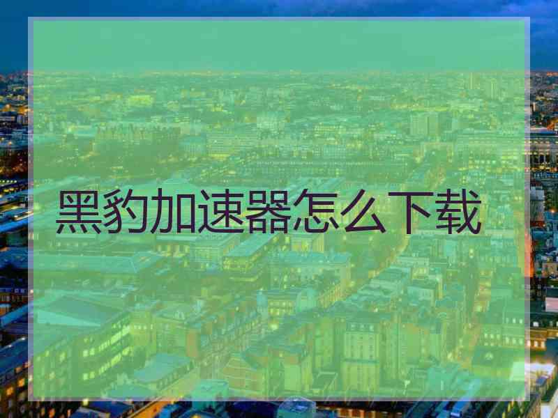 黑豹加速器怎么下载