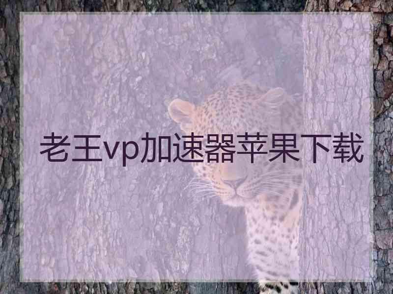 老王vp加速器苹果下载