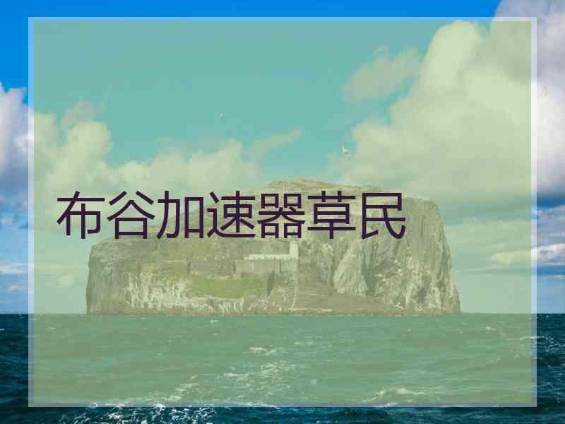 布谷加速器草民