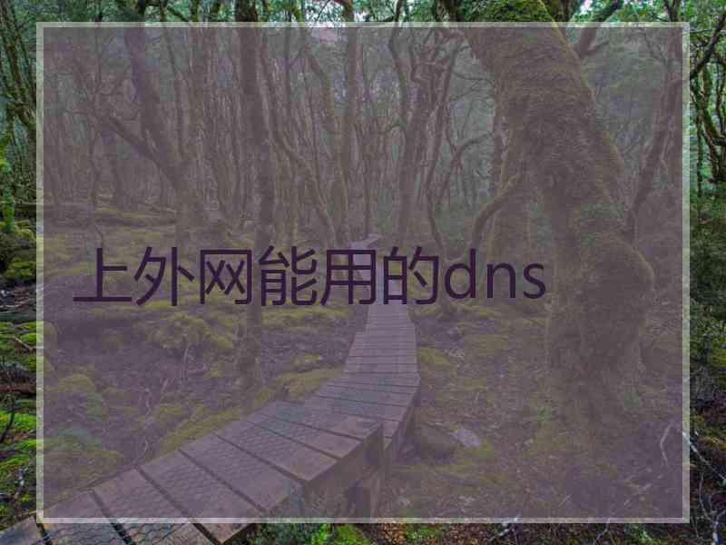 上外网能用的dns