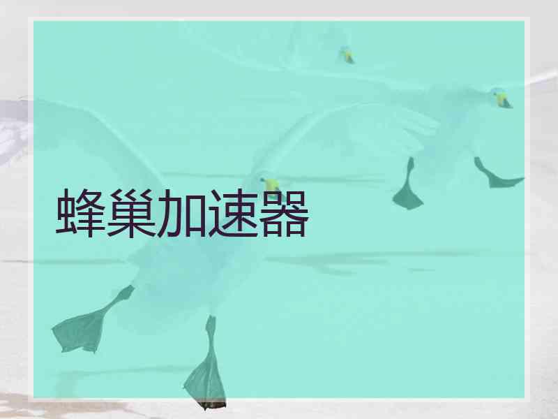 蜂巢加速器
