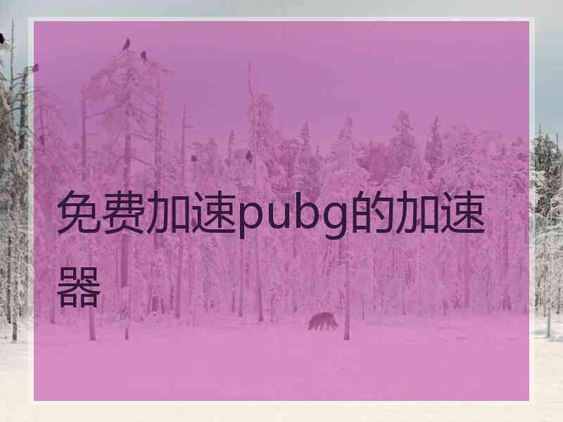 免费加速pubg的加速器