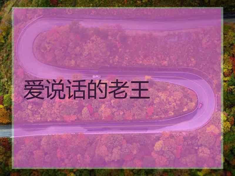 爱说话的老王
