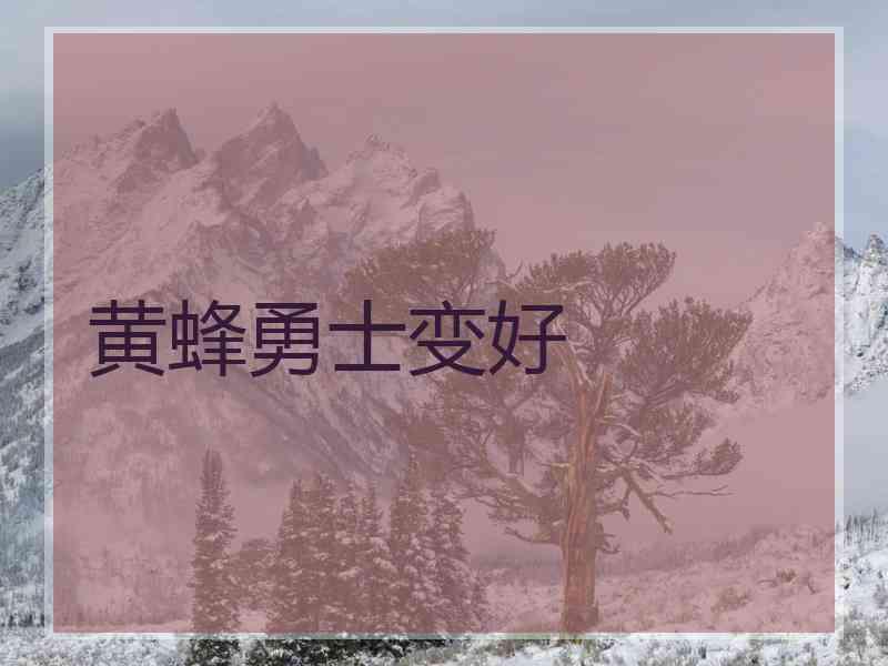 黄蜂勇士变好