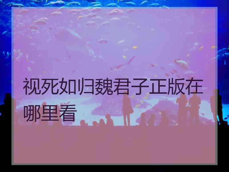 视死如归魏君子正版在哪里看