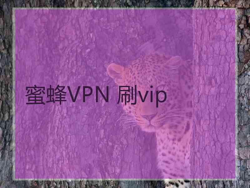 蜜蜂VPN 刷vip