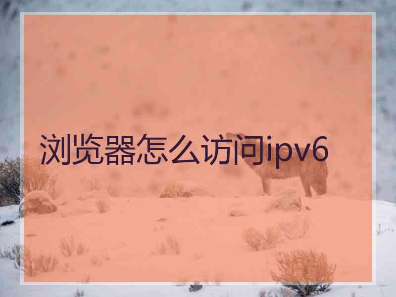 浏览器怎么访问ipv6
