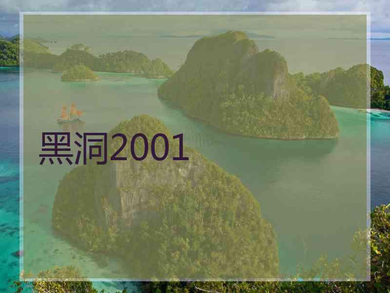 黑洞2001