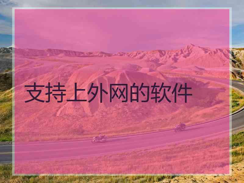 支持上外网的软件