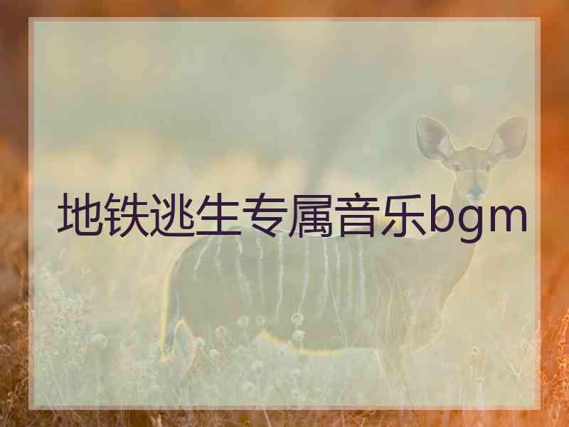 地铁逃生专属音乐bgm