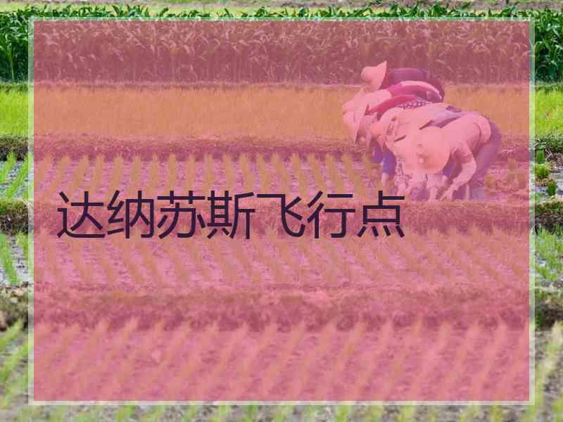 达纳苏斯飞行点