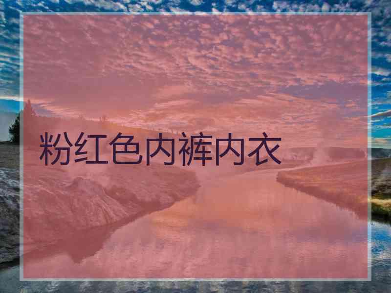 粉红色内裤内衣