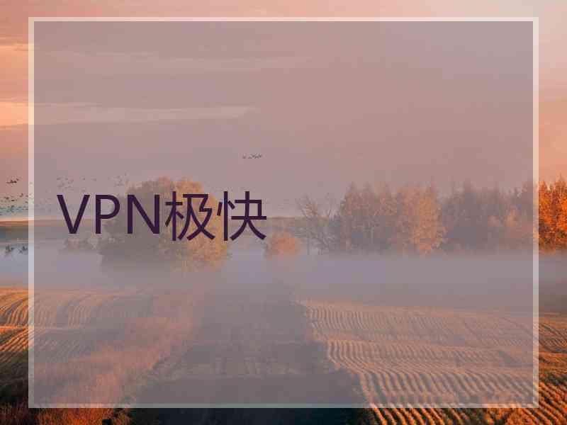 VPN极快