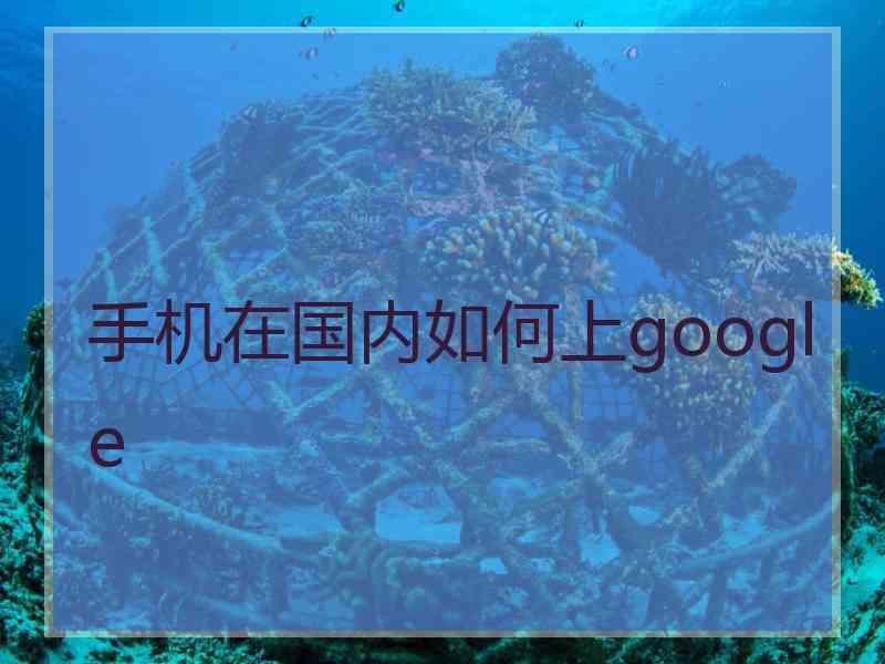 手机在国内如何上google