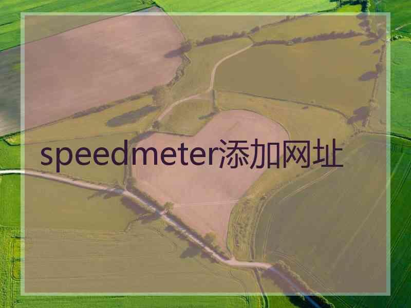 speedmeter添加网址