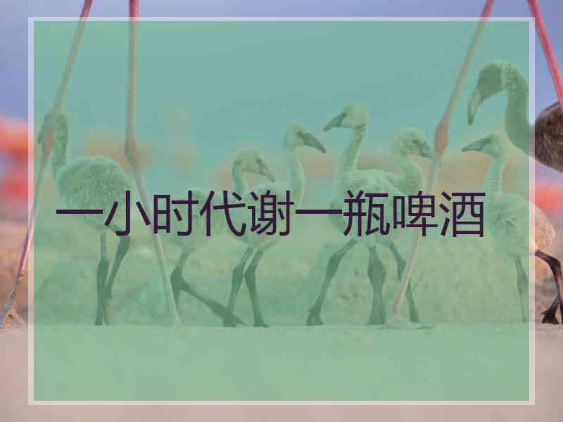 一小时代谢一瓶啤酒
