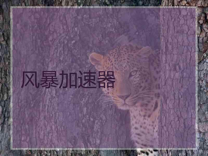 风暴加速器
