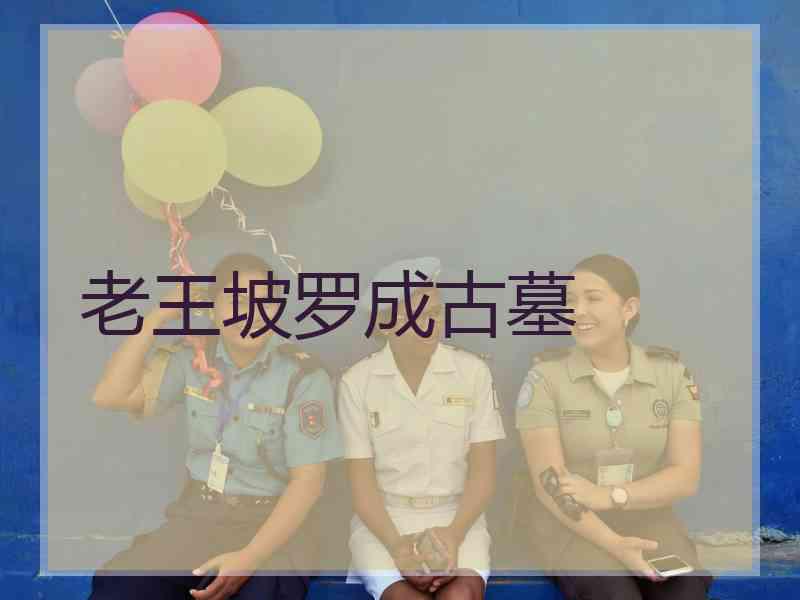 老王坡罗成古墓